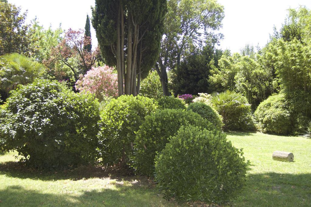 Le Mas Ferrand Graveson Bagian luar foto